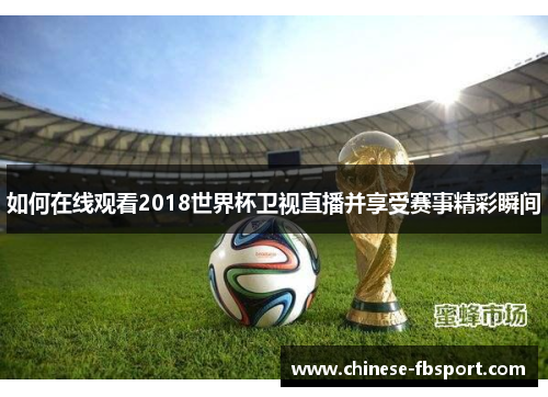 如何在线观看2018世界杯卫视直播并享受赛事精彩瞬间