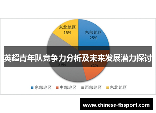 英超青年队竞争力分析及未来发展潜力探讨