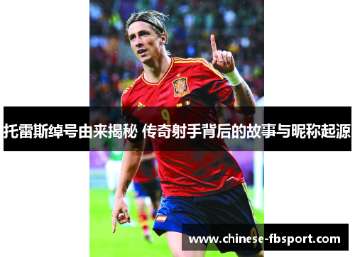 托雷斯绰号由来揭秘 传奇射手背后的故事与昵称起源