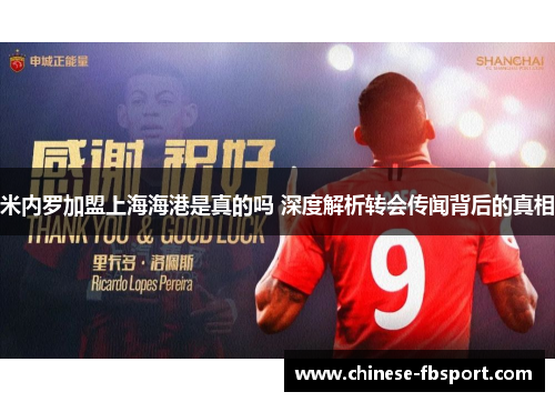 米内罗加盟上海海港是真的吗 深度解析转会传闻背后的真相