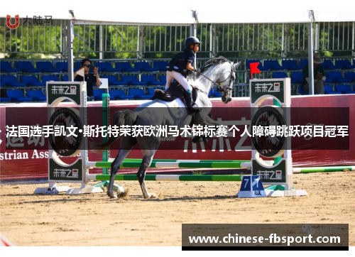 法国选手凯文·斯托特荣获欧洲马术锦标赛个人障碍跳跃项目冠军