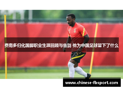 费南多归化国脚职业生涯回顾与告别 他为中国足球留下了什么