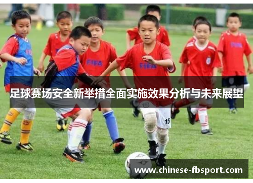 足球赛场安全新举措全面实施效果分析与未来展望