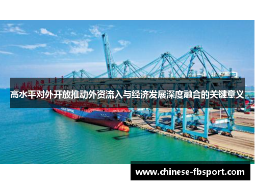 高水平对外开放推动外资流入与经济发展深度融合的关键意义